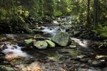 Rolling Streams of the Appalachians