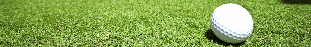 This is a generic image, it is NOT an image of Zebulon Country Club go-north-carolina.com Travel Info